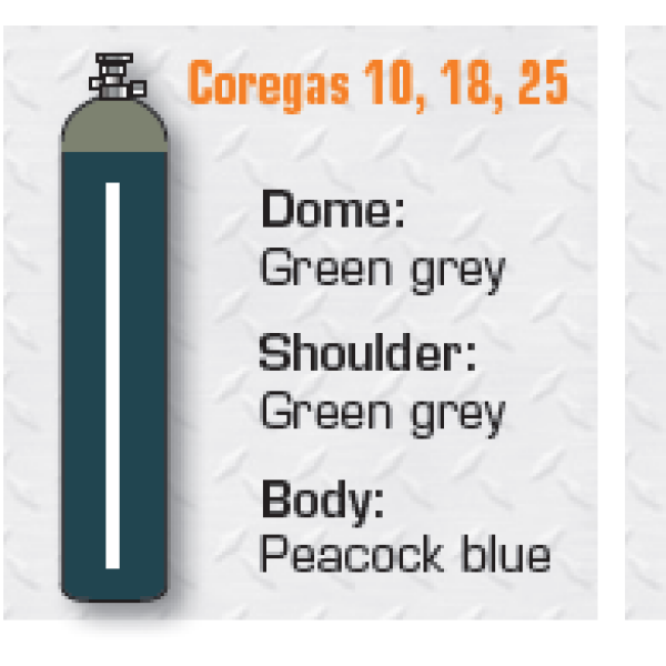 COREGAS 10    G    10.7M3 CLASS 2.2/UN195